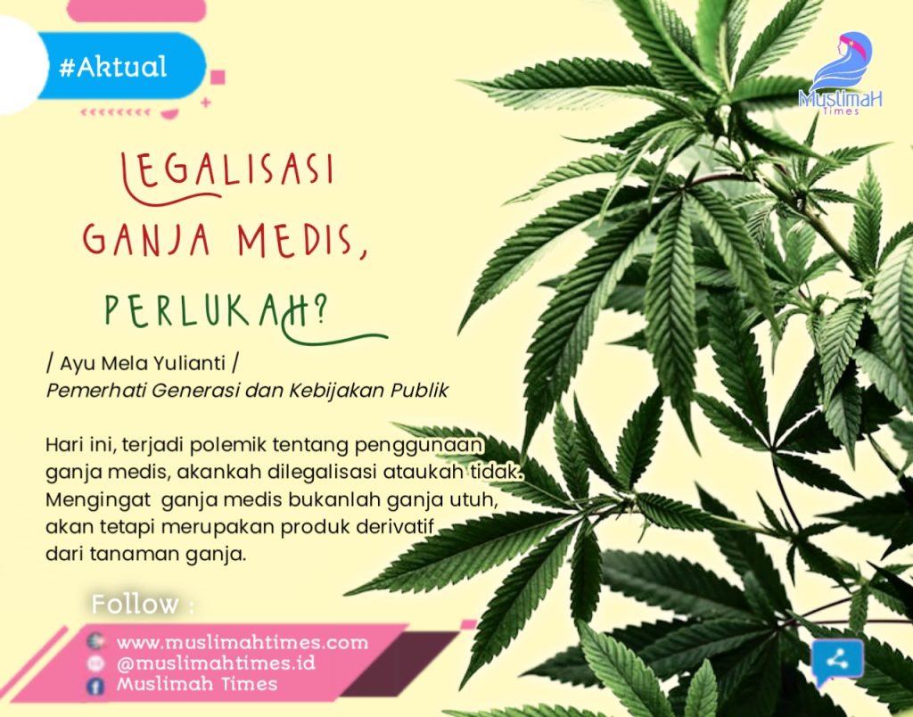 Legalisasi Ganja Medis, Perlukah? - MuslimahTimes