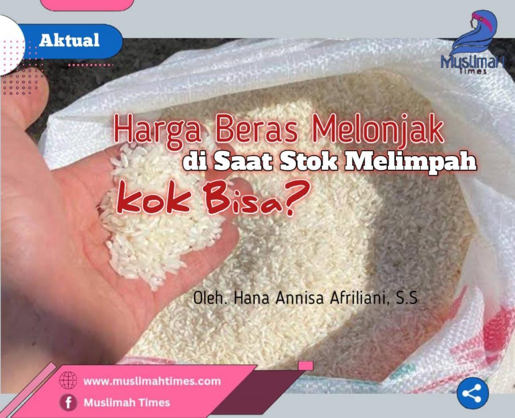 WhatsApp Image 2025-07-22 at 11.48.26