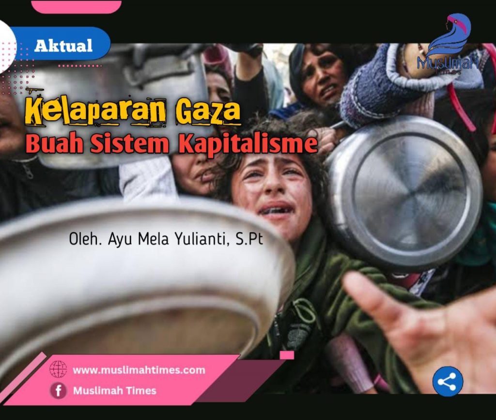 WhatsApp Image 2025-08-08 at 20.33.52