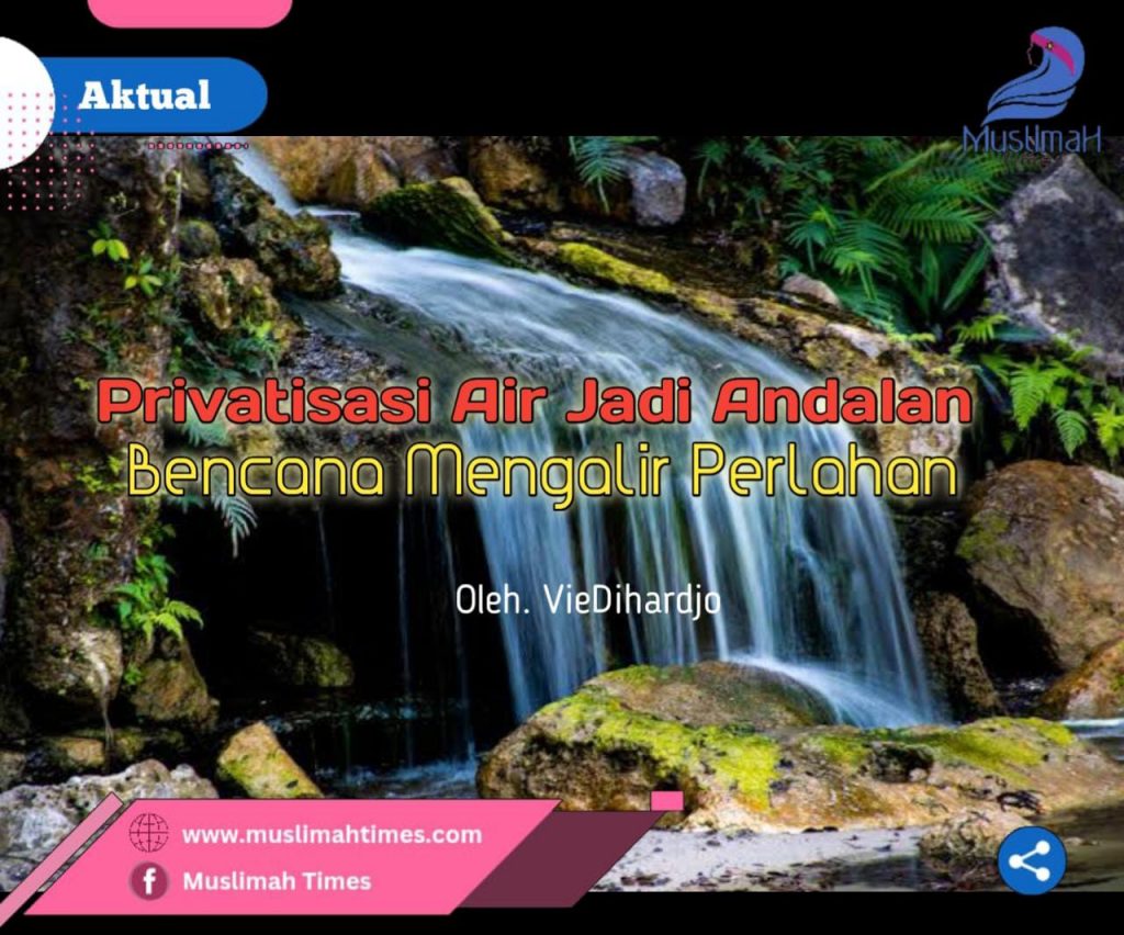 WhatsApp Image 2025-11-05 at 21.08.32