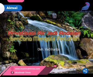 WhatsApp Image 2025-11-05 at 21.08.32