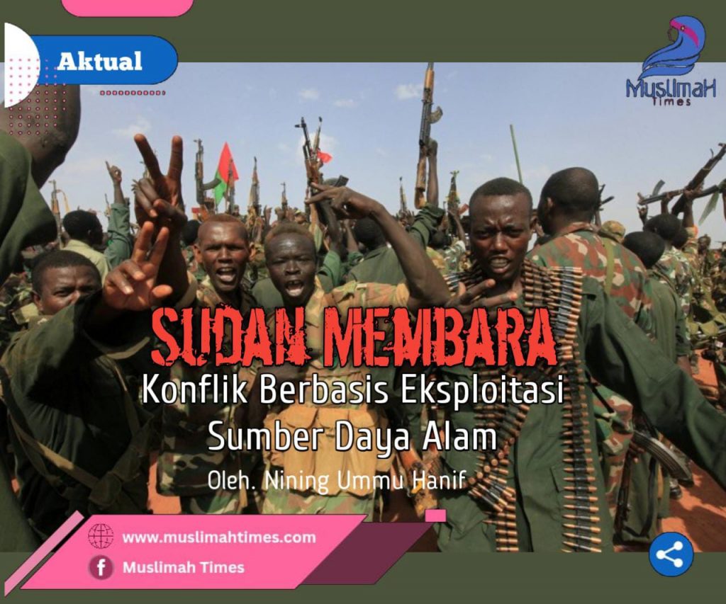 WhatsApp Image 2025-11-10 at 13.06.49