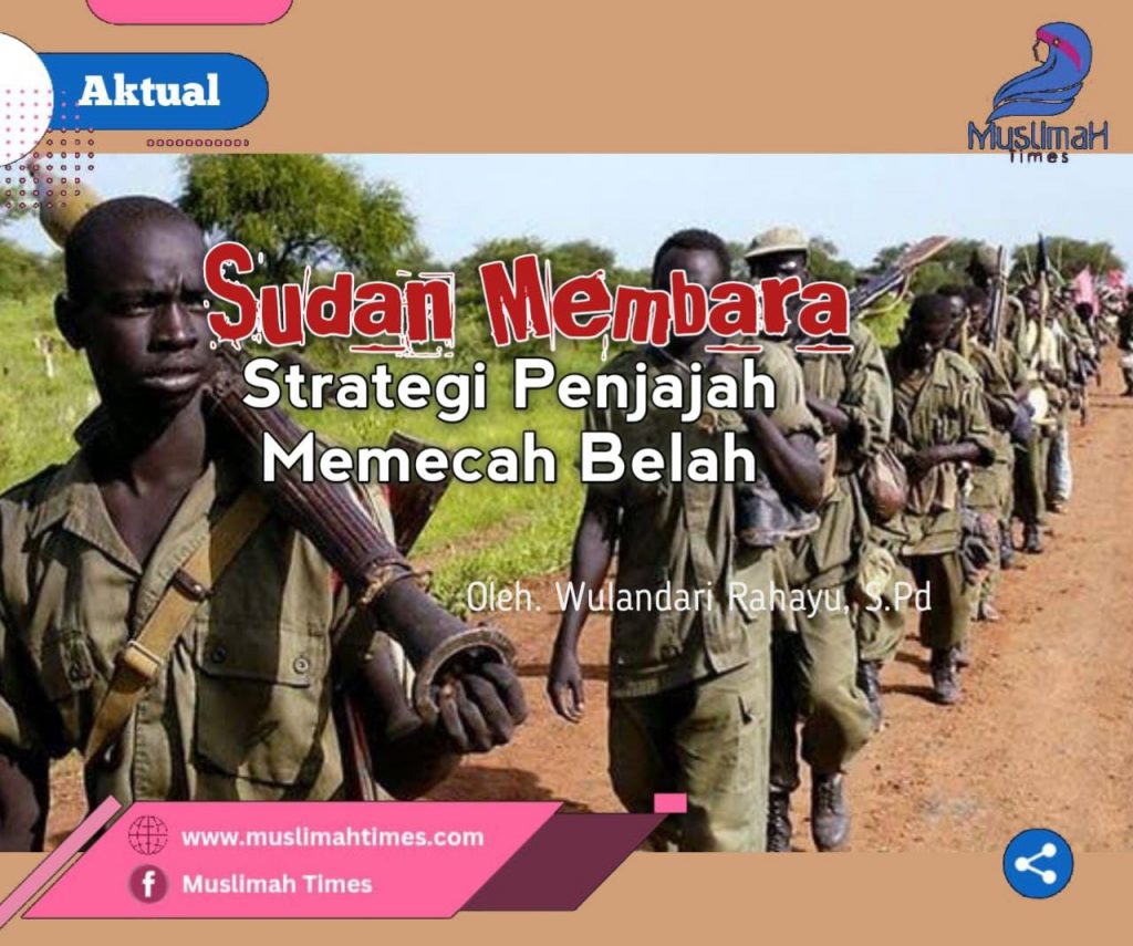 WhatsApp Image 2025-11-12 at 22.11.22