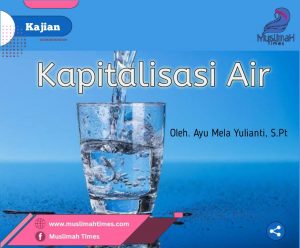 WhatsApp Image 2025-11-15 at 05.23.42