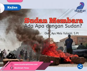 WhatsApp Image 2025-11-15 at 05.40.50