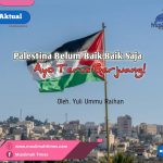 WhatsApp Image 2025-11-26 at 10.12.41