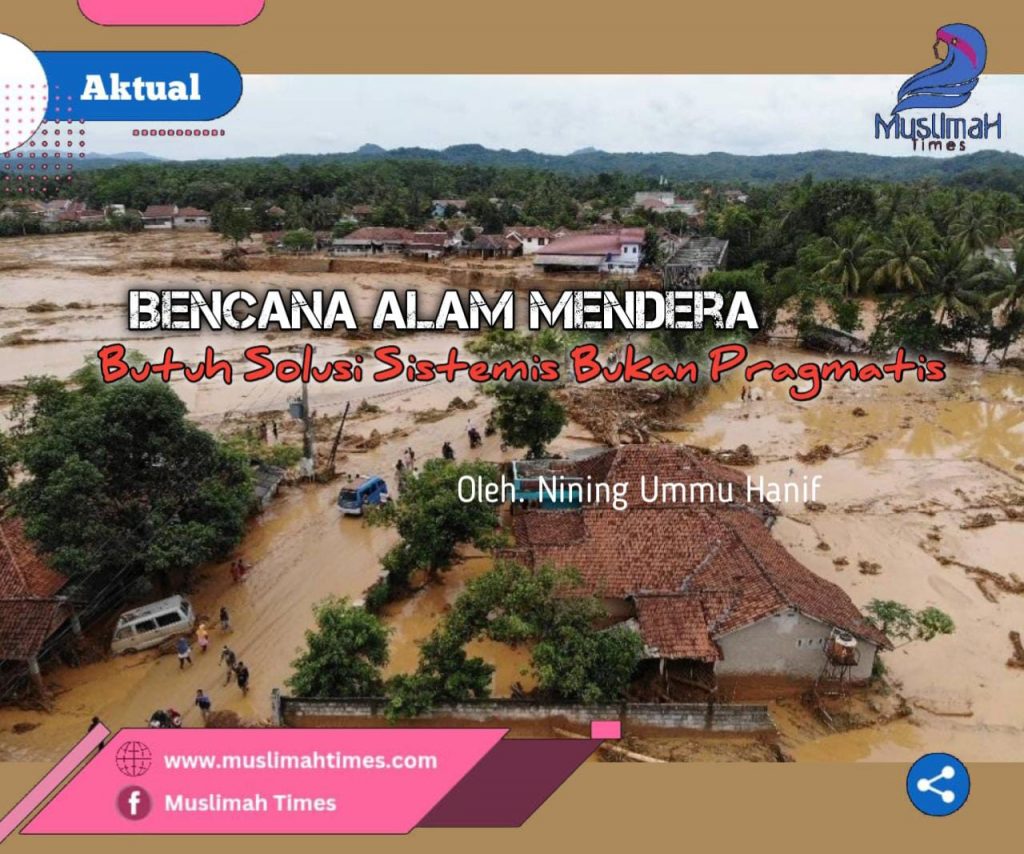 WhatsApp Image 2025-12-02 at 11.02.36