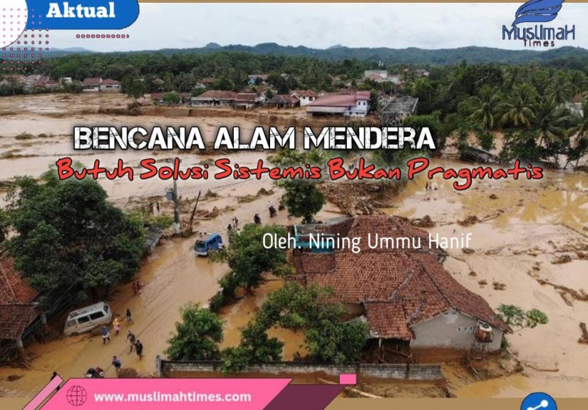 WhatsApp Image 2025-12-02 at 11.02.36