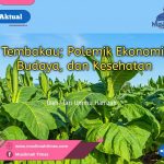 WhatsApp Image 2025-12-02 at 21.13.27