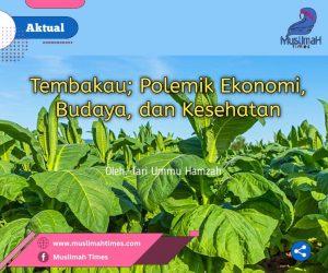 WhatsApp Image 2025-12-02 at 21.13.27