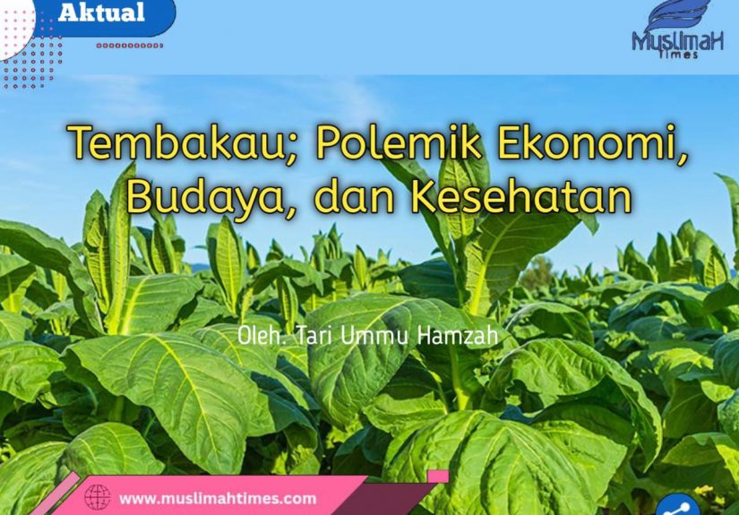 WhatsApp Image 2025-12-02 at 21.13.27