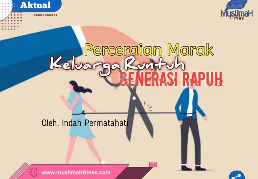 WhatsApp Image 2025-12-11 at 09.53.44