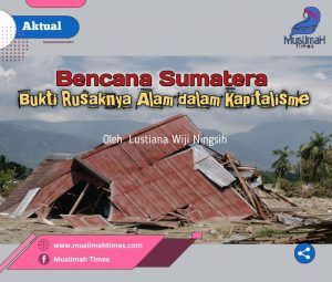 WhatsApp Image 2025-12-19 at 12.36.46