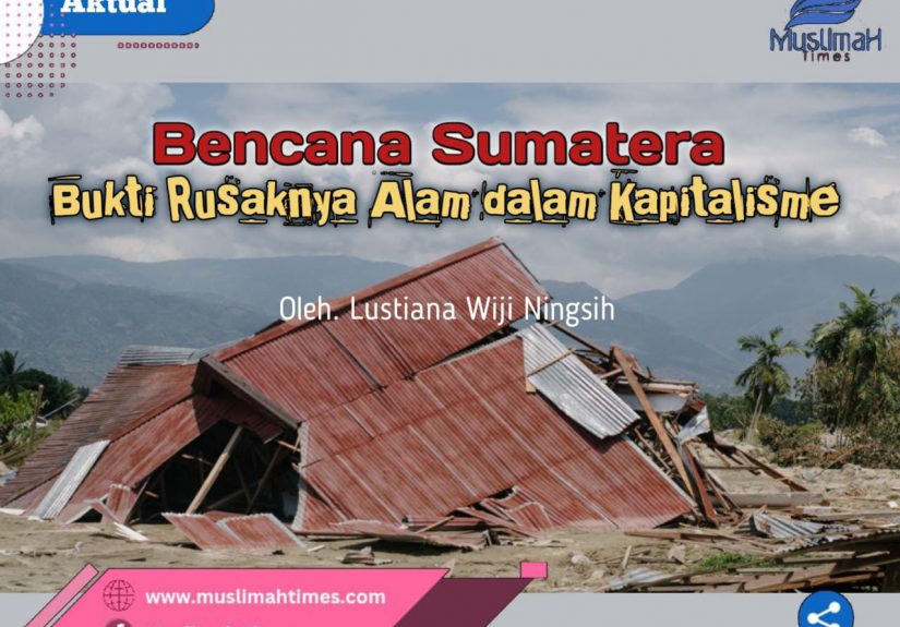 WhatsApp Image 2025-12-19 at 12.36.46