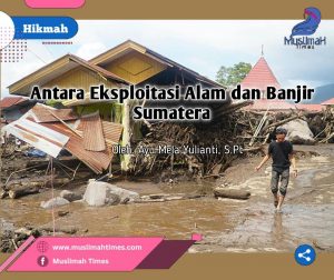 WhatsApp Image 2025-12-30 at 17.33.26