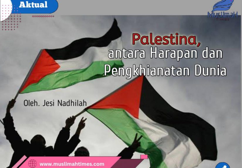 WhatsApp Image 2026-01-15 at 09.49.40