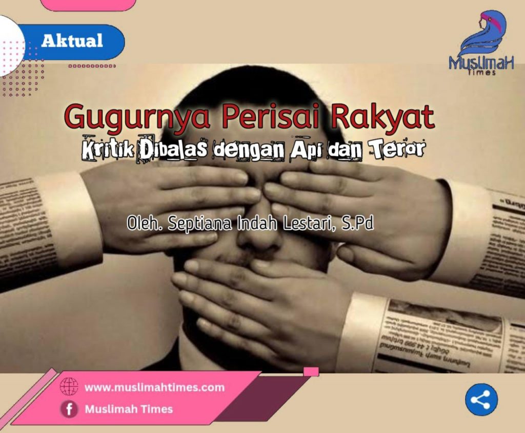 WhatsApp Image 2026-01-15 at 10.09.42