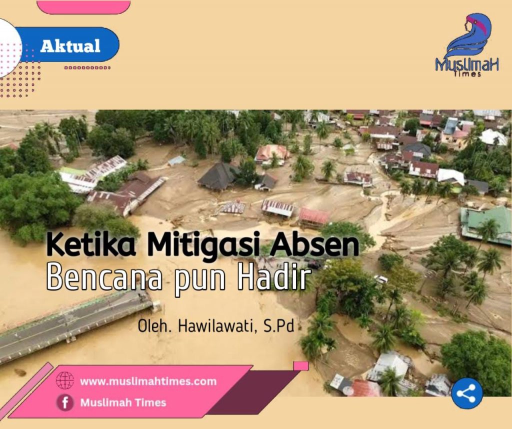 WhatsApp Image 2026-01-27 at 21.56.27