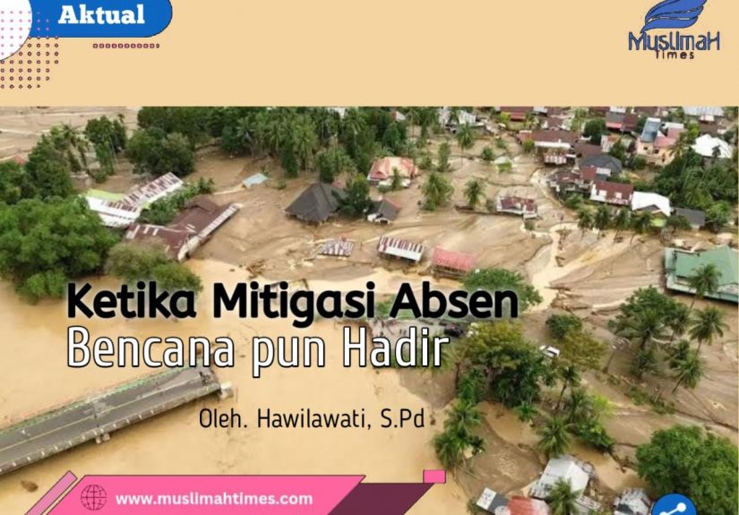 WhatsApp Image 2026-01-27 at 21.56.27