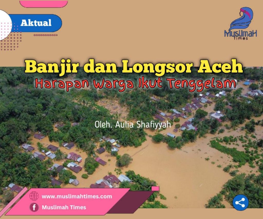 WhatsApp Image 2026-01-28 at 20.54.27