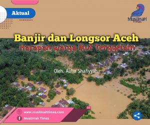 WhatsApp Image 2026-01-28 at 20.54.27