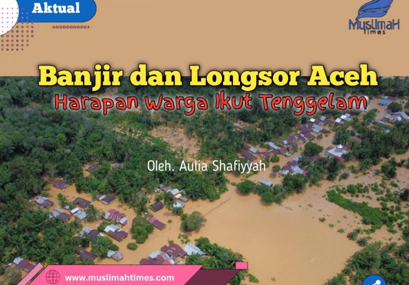 WhatsApp Image 2026-01-28 at 20.54.27