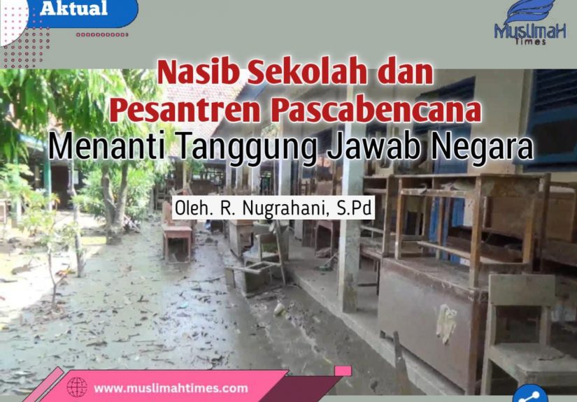 WhatsApp Image 2026-02-03 at 22.11.09