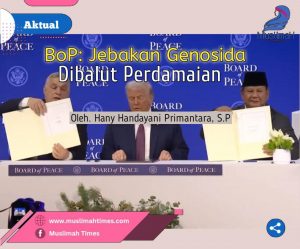 WhatsApp Image 2026-02-09 at 09.14.23