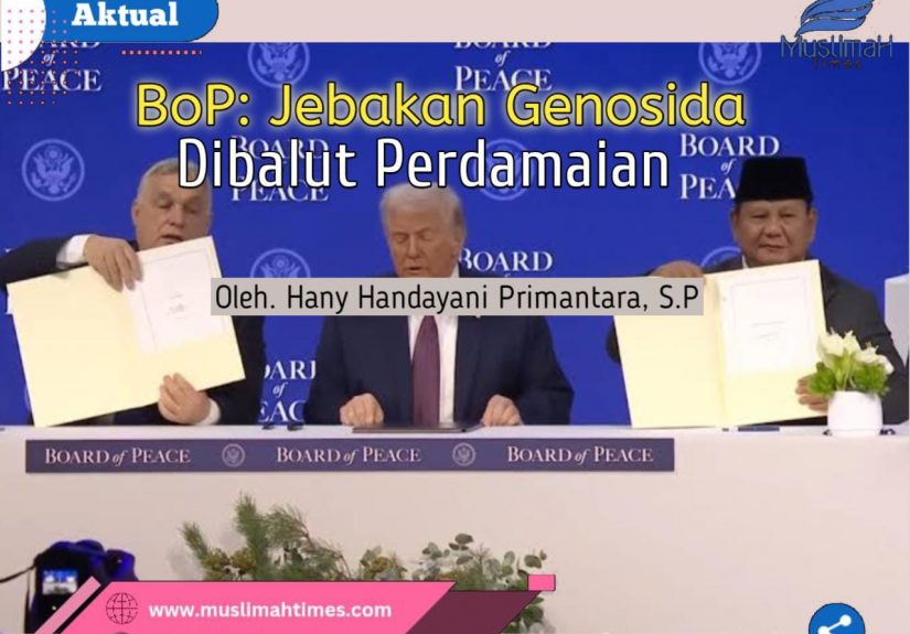 WhatsApp Image 2026-02-09 at 09.14.23