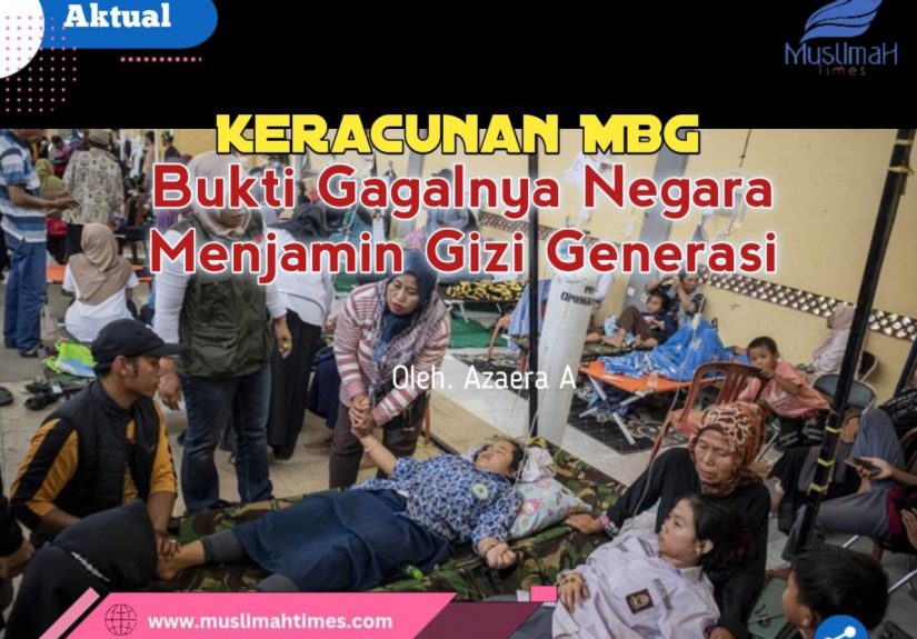 WhatsApp Image 2026-02-12 at 08.54.17