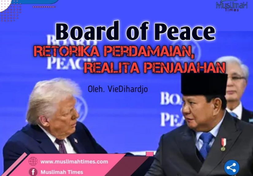 WhatsApp Image 2026-02-12 at 09.27.11