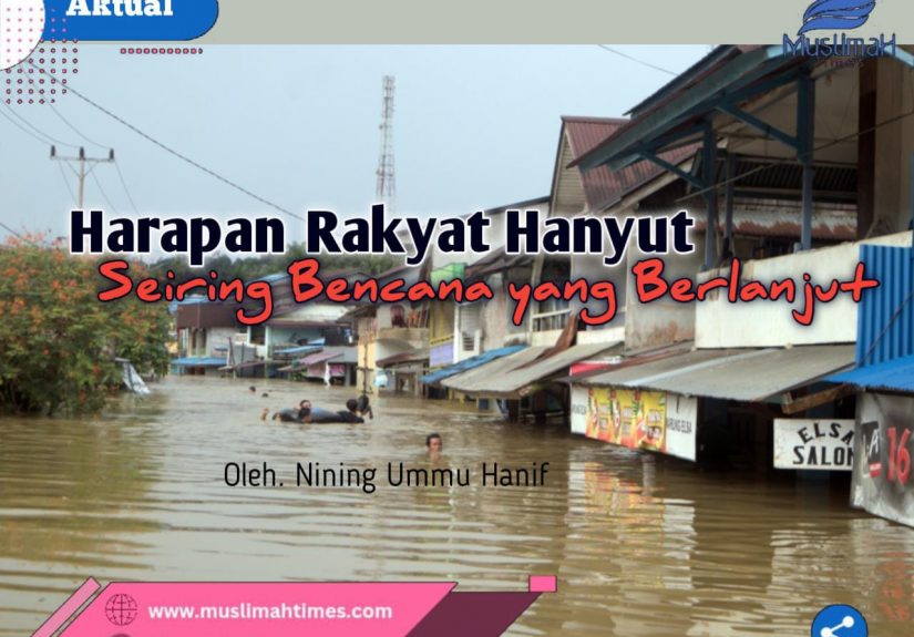 WhatsApp Image 2026-02-12 at 09.38.56