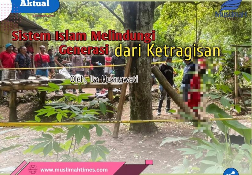 WhatsApp Image 2026-02-17 at 10.23.59