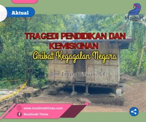 WhatsApp Image 2026-02-17 at 10.35.36