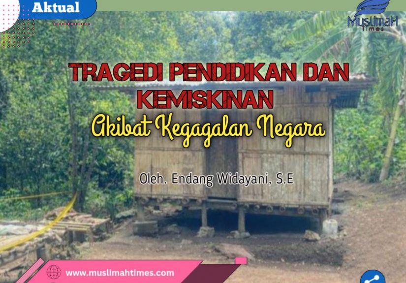 WhatsApp Image 2026-02-17 at 10.35.36