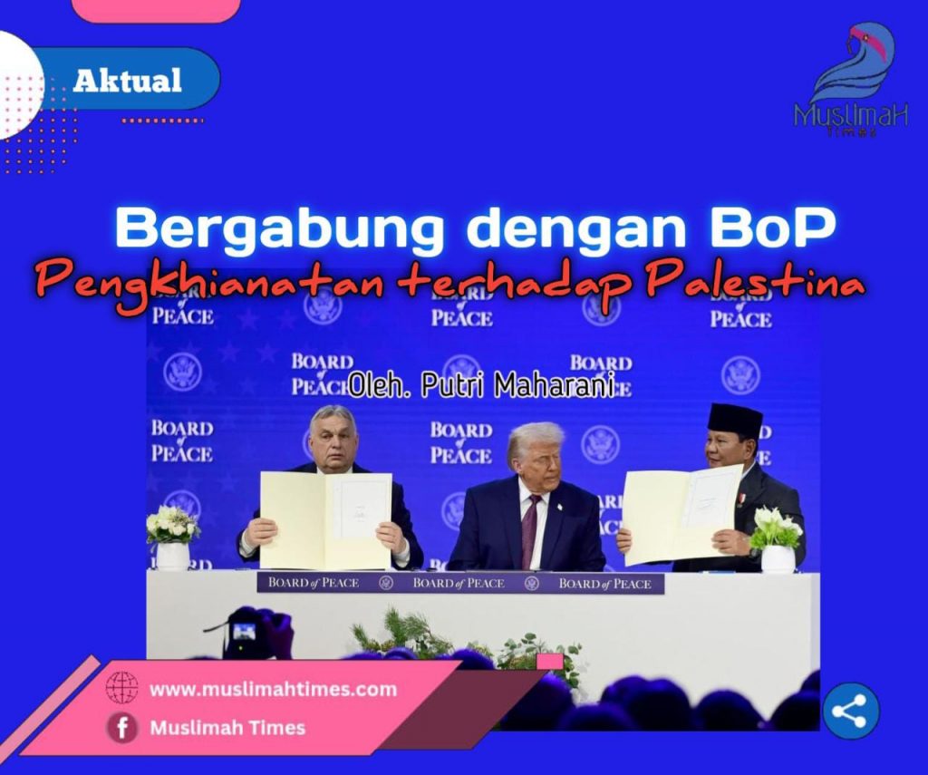 WhatsApp Image 2026-02-17 at 10.54.46