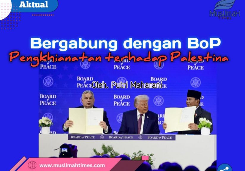 WhatsApp Image 2026-02-17 at 10.54.46