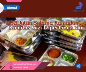 WhatsApp Image 2026-02-23 at 07.53.32