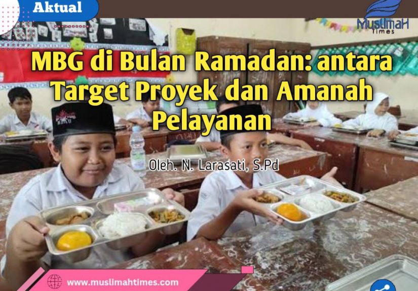 WhatsApp Image 2026-02-25 at 22.16.33