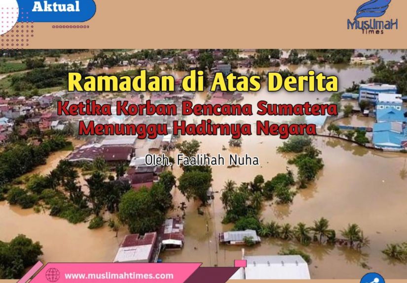 WhatsApp Image 2026-02-25 at 22.23.13