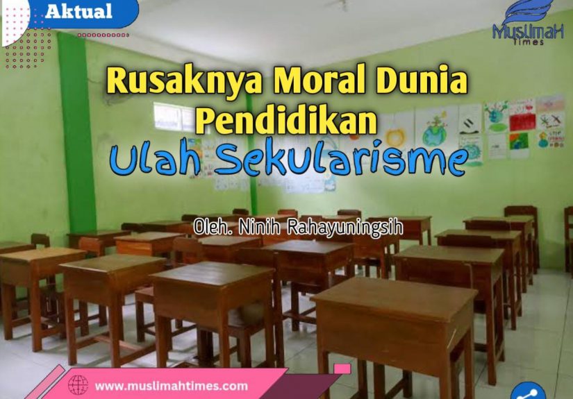 WhatsApp Image 2026-02-25 at 22.29.10