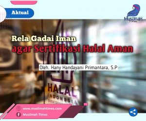 WhatsApp Image 2026-03-01 at 17.35.49