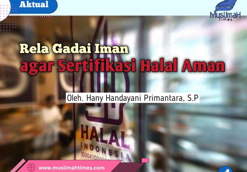 WhatsApp Image 2026-03-01 at 17.35.49