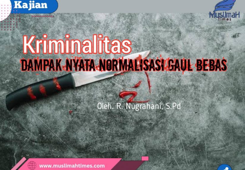 WhatsApp Image 2026-03-11 at 11.11.17