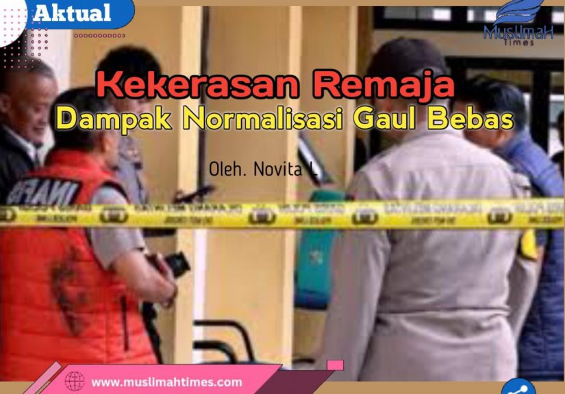 WhatsApp Image 2026-03-11 at 11.39.22