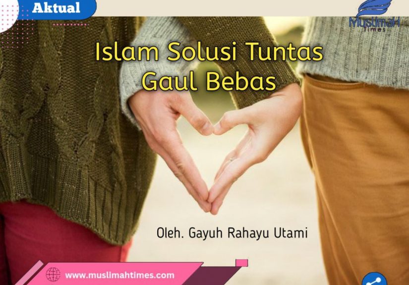 WhatsApp Image 2026-03-16 at 11.13.57