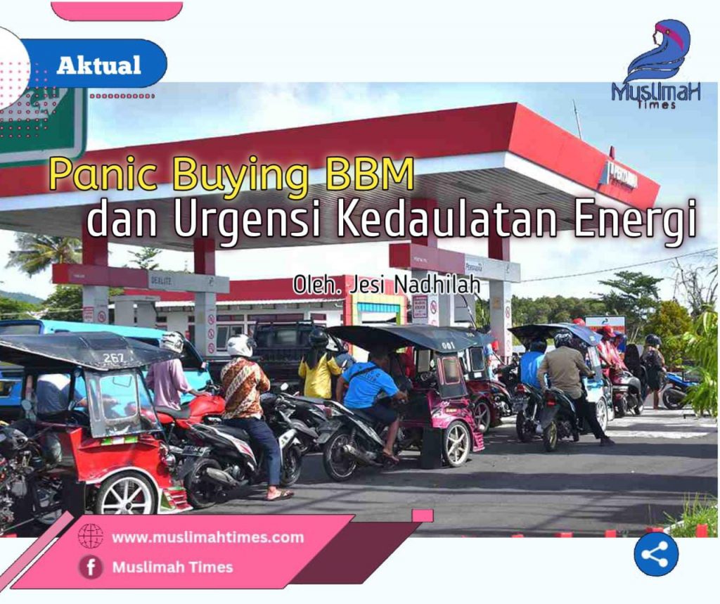 WhatsApp Image 2026-03-24 at 17.01.19