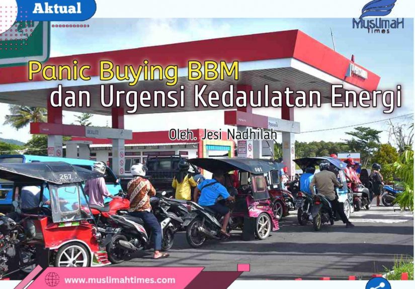 WhatsApp Image 2026-03-24 at 17.01.19