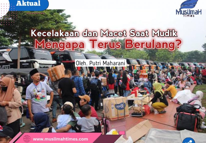 WhatsApp Image 2026-03-31 at 11.30.39