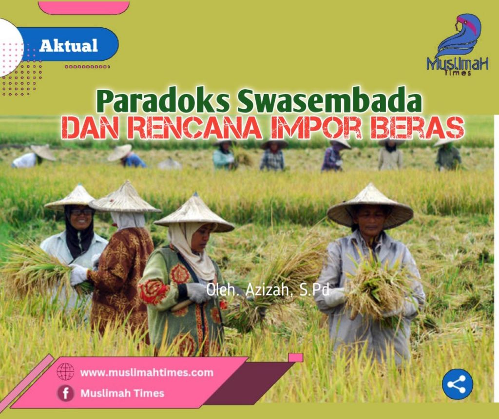 WhatsApp Image 2026-04-08 at 21.24.45